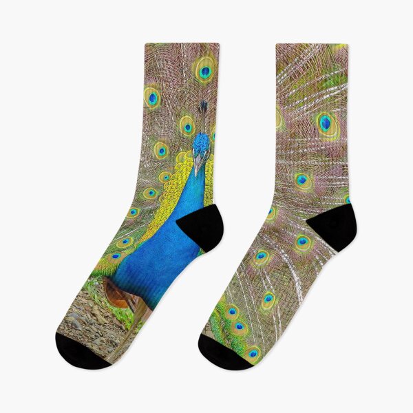 Item preview, Peacock showing its feathers designed and sold by Photopat.