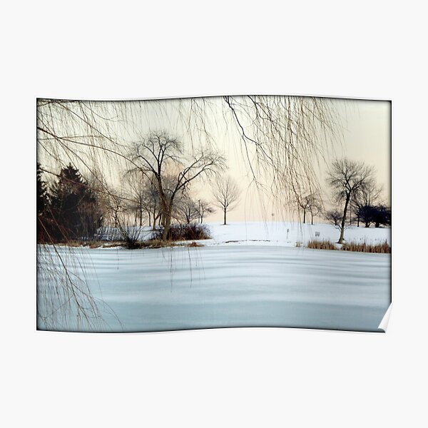 Winter © Poster