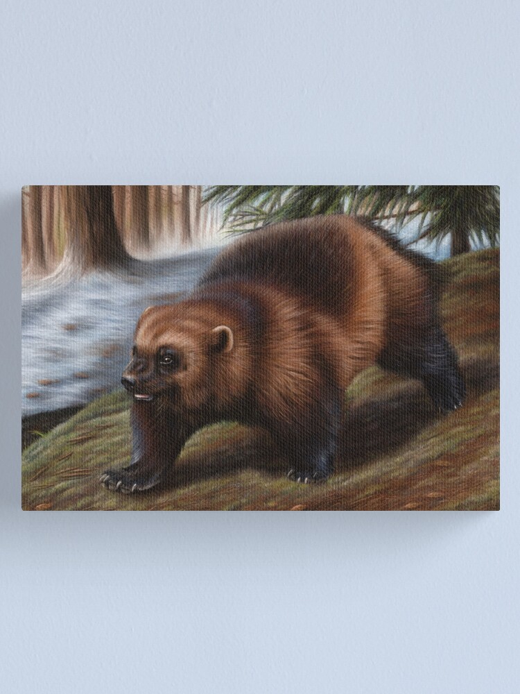 Alternate view of Wolverine Wildlife Artwork Canvas Print