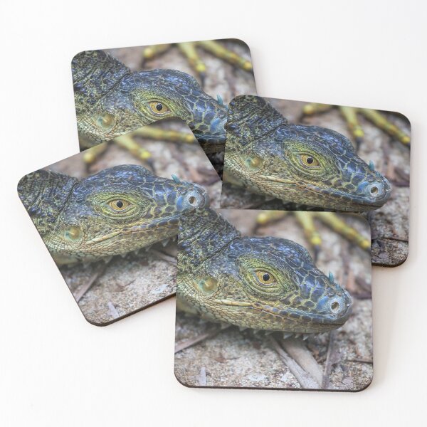 Item preview, Green iguana head designed and sold by Photopat.