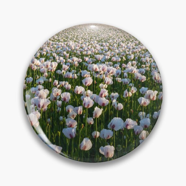 Item preview, Opium Poppies (West Morden, Dorset) designed and sold by bitm2007.