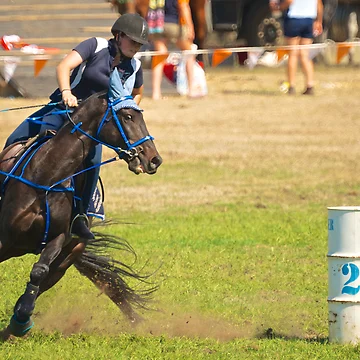 Artwork thumbnail, Barrel Racing by D-GaP