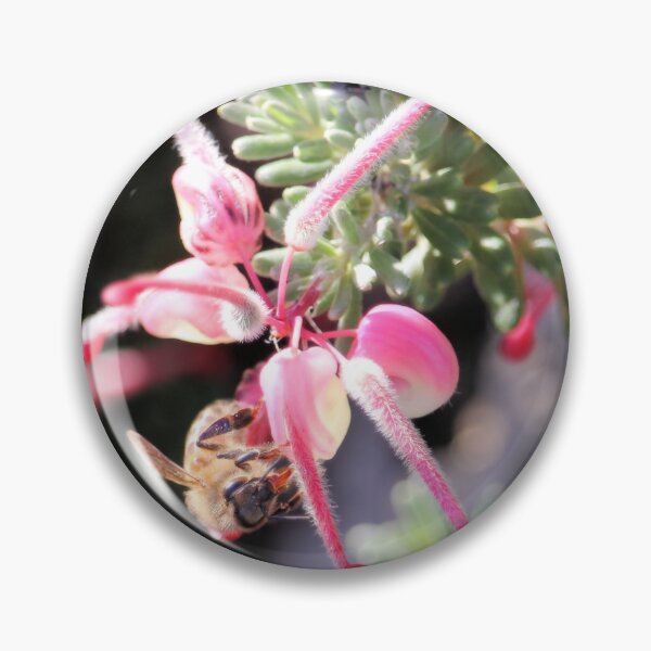 Item preview, Honey Bee on Grevillea flower, South Australia designed and sold by NanaRusty.