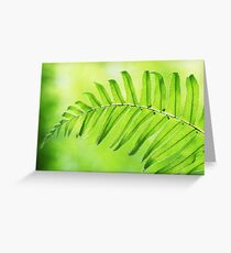 Lime Green Fern Leaf Greeting Card