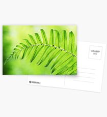 Lime Green Fern Leaf Postcards