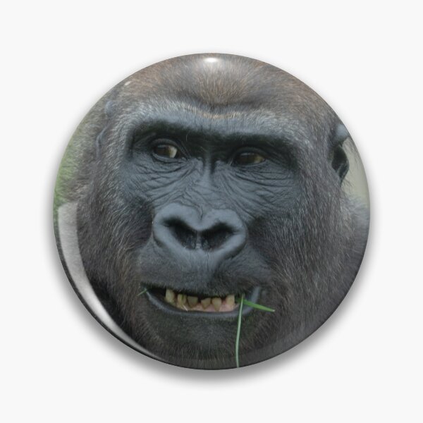 Item preview, Lovable Gorilla Rascal Lope designed and sold by rawshutterbug.