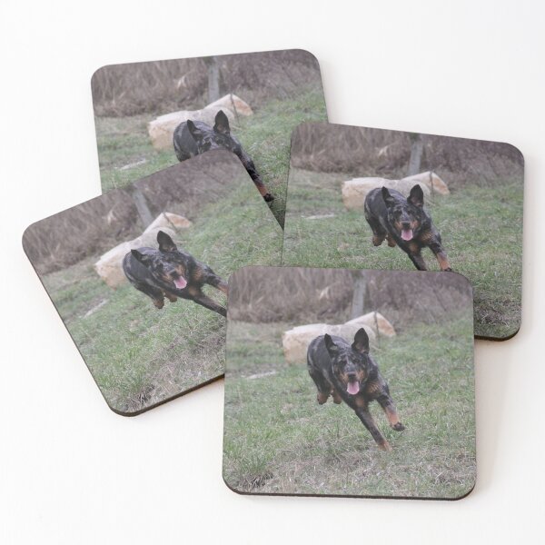 Item preview, Beauceron dog having fun in puddles in the meadow designed and sold by EstelleRossetti.