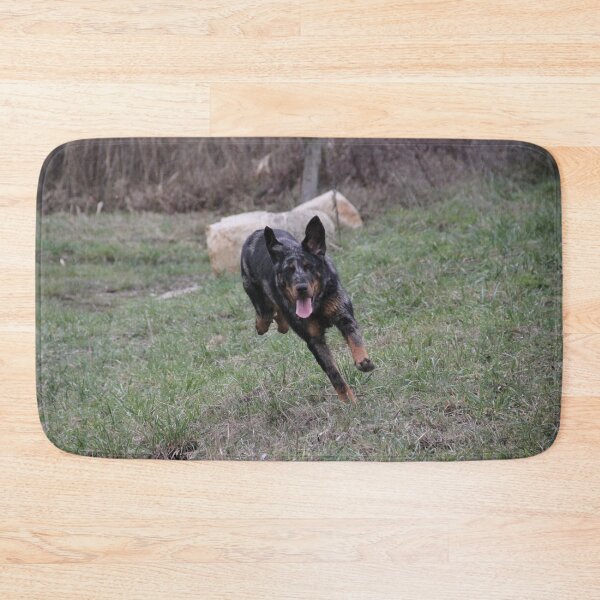 Item preview, Beauceron dog having fun in puddles in the meadow designed and sold by EstelleRossetti.