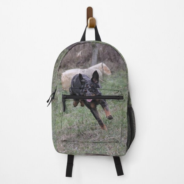 Item preview, Beauceron dog having fun in puddles in the meadow designed and sold by EstelleRossetti.