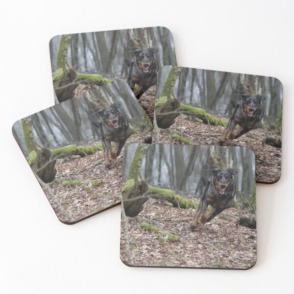 Item preview, Beauceron dog having fun in puddles in the meadow designed and sold by EstelleRossetti.