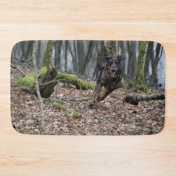 Item preview, Beauceron dog having fun in puddles in the meadow designed and sold by EstelleRossetti.