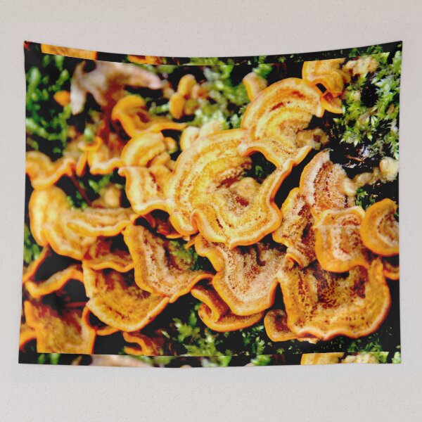 Item preview, Orange winter fungus toxic mushrooms designed and sold by EstelleRossetti.