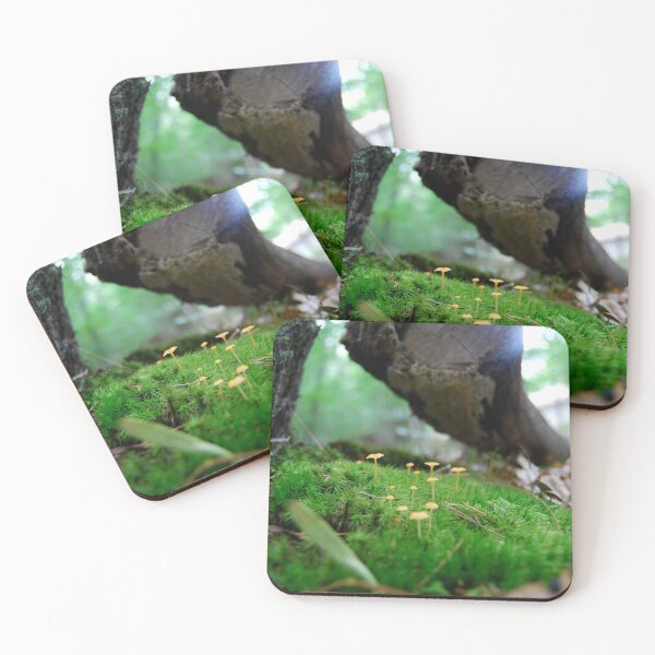 Item preview, BEATIFUL SCENERY designed and sold by fadli2020.