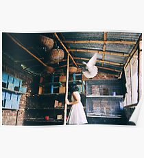 her birds Poster