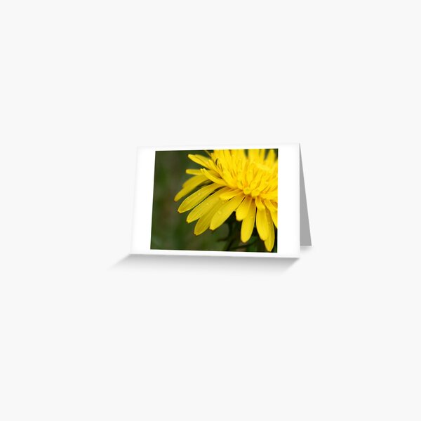 Leave Your Worries Behind Greeting Card