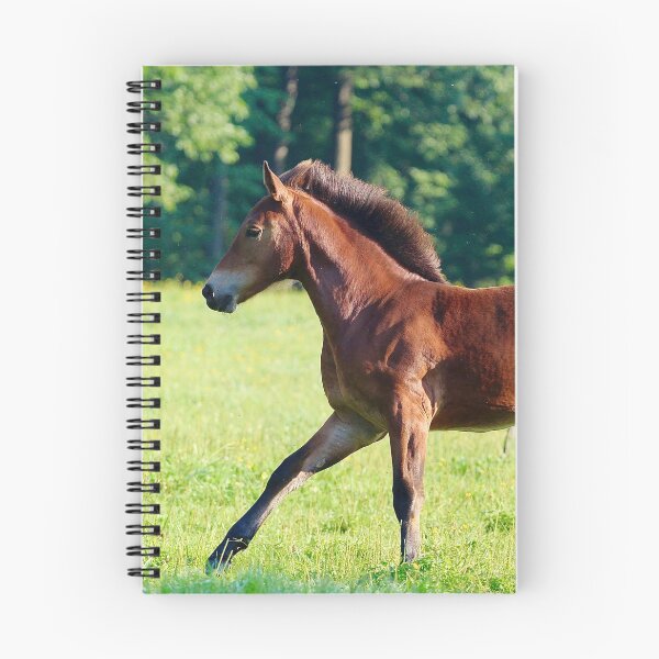 Item preview, Perfect Panya Treasure -Running horse designed and sold by agrapa.