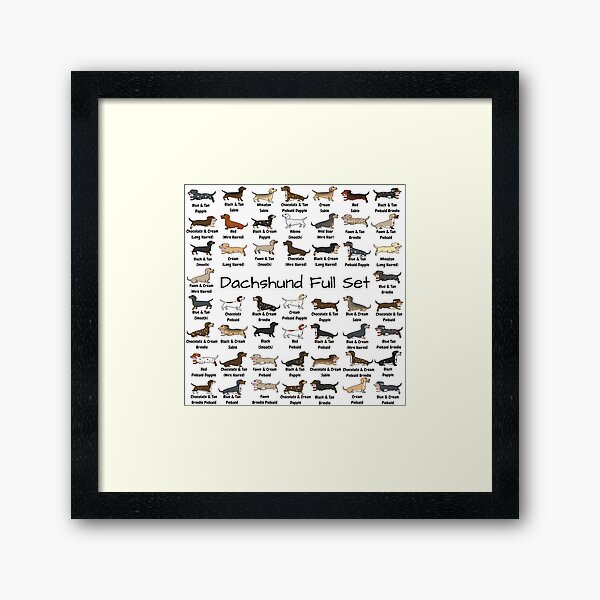 Dachshund Full Set Framed Art Print