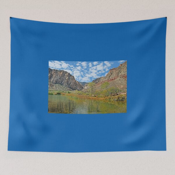 Item preview, Scenic Nevada  designed and sold by Lanis Rossi.