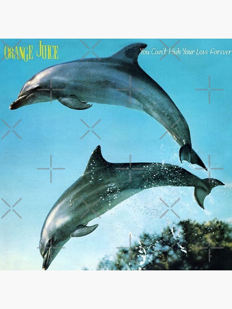 ORANGE JUICE /YOU CAN’T HIDE YOUR LOVELP You Can't Hide Your Love Forever - Album by Orange Juice