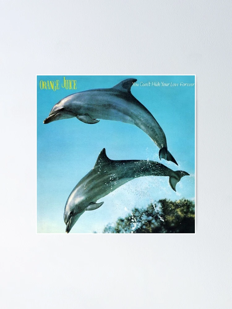 ORANGE JUICE /YOU CAN’T HIDE YOUR LOVELP You Can't Hide Your Love Forever - Album by Orange Juice