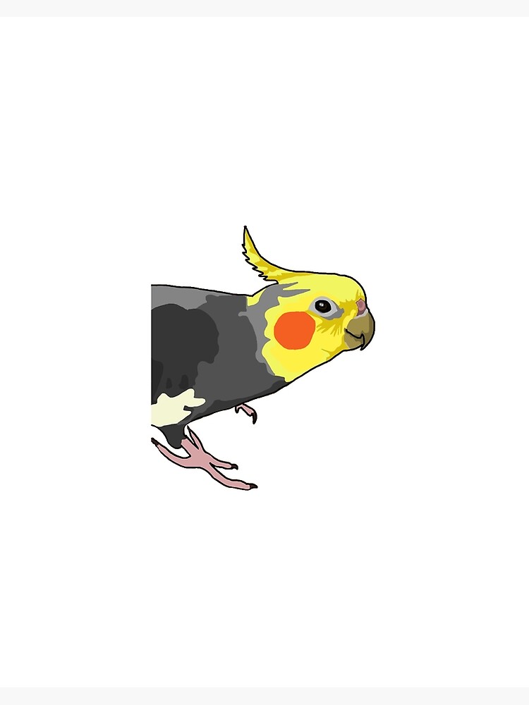 Happy cockatiel hot sale