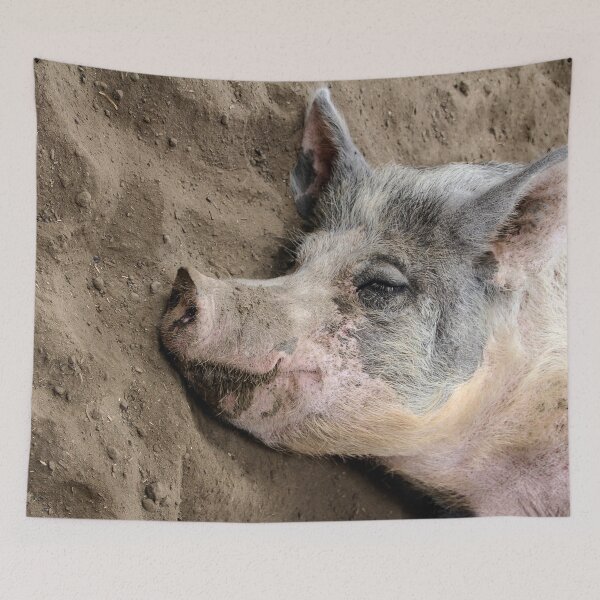 Item preview, Peaceful Piggie! designed and sold by heatherfriedman.