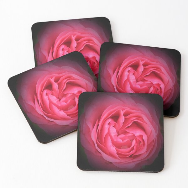 Item preview, Pink rose with black vignette  designed and sold by CMSWorldColour.