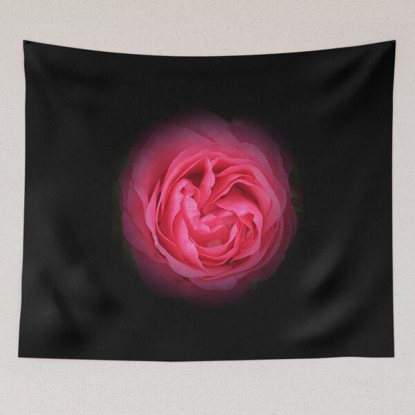 Item preview, Pink rose with black vignette  designed and sold by CMSWorldColour.
