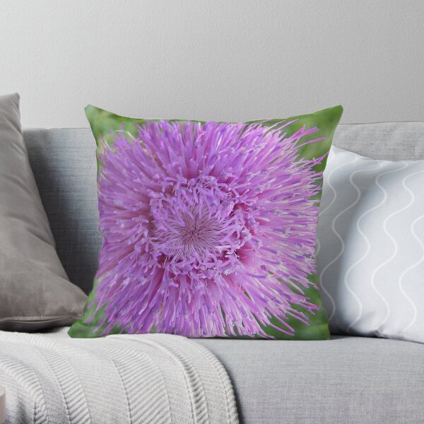 Thistle Burst Throw Pillow