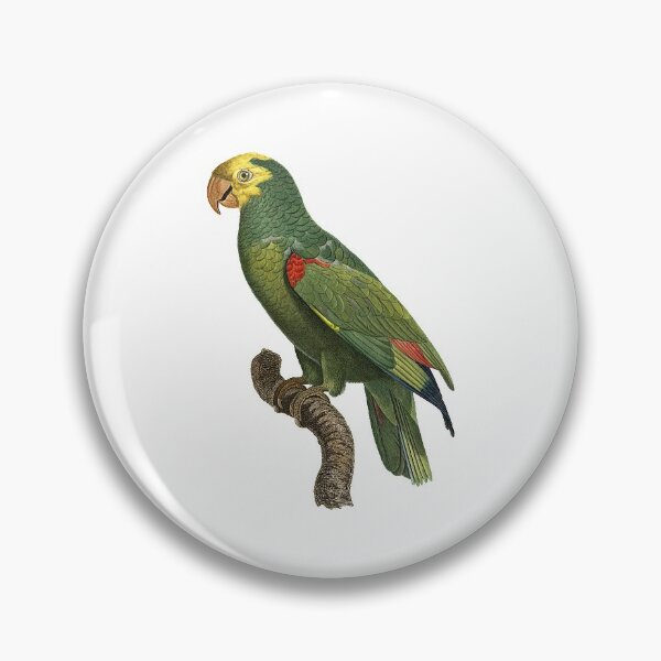 Item preview, Yellow-headed amazon designed and sold by Photopicture.