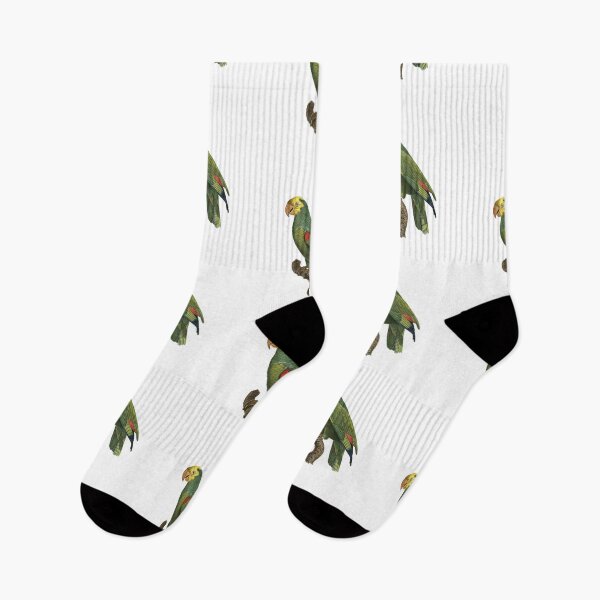 Item preview, Yellow-headed amazon designed and sold by Photopicture.