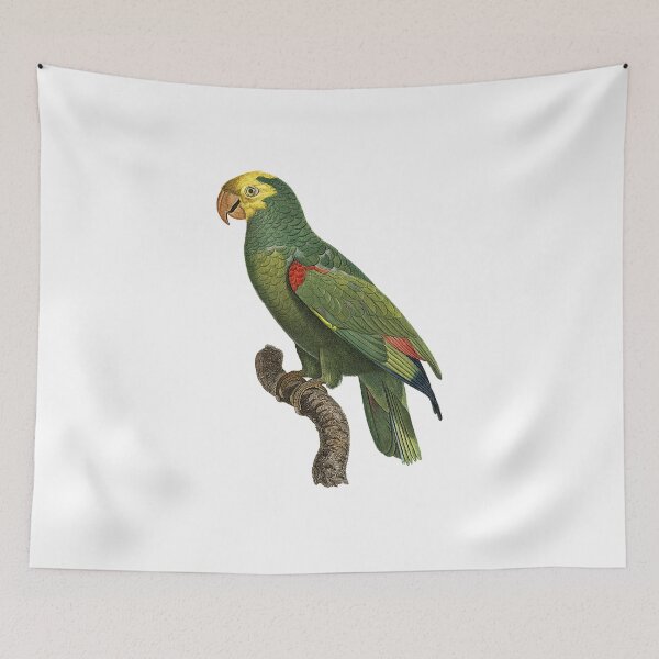 Item preview, Yellow-headed amazon designed and sold by Photopicture.
