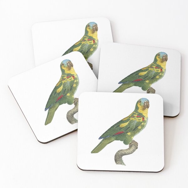 Item preview, Amazona tresmariae designed and sold by Photopicture.