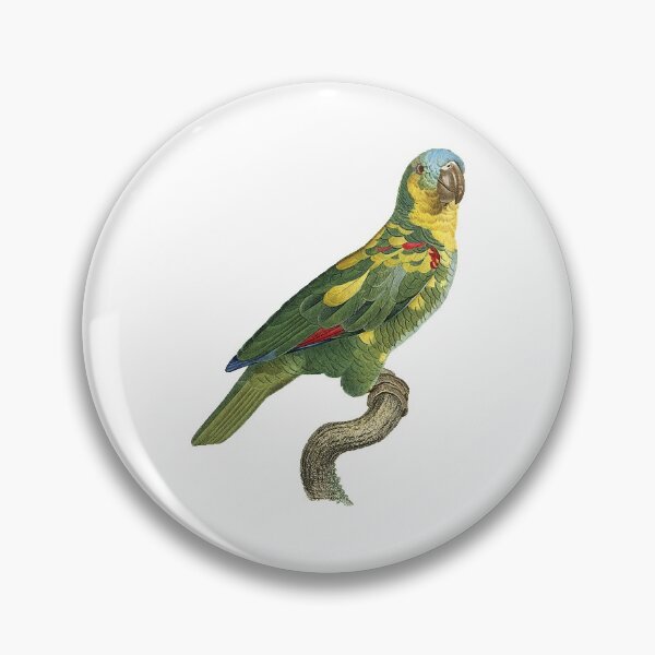Item preview, Amazona tresmariae designed and sold by Photopicture.