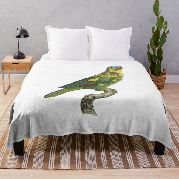 Item preview, Amazona tresmariae designed and sold by Photopicture.