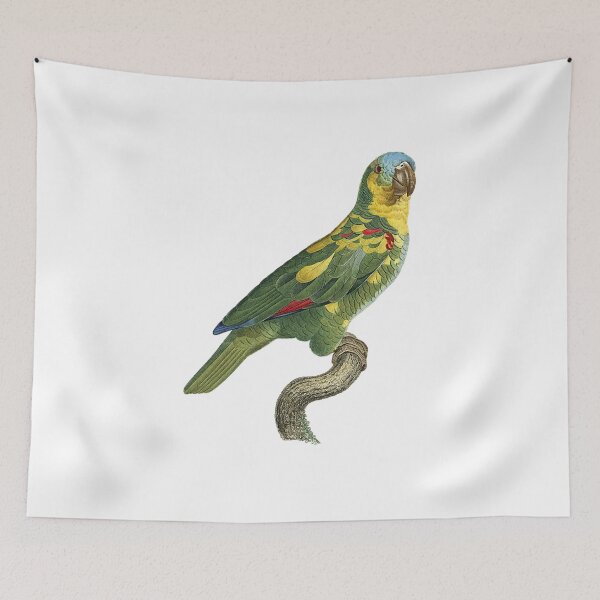 Item preview, Amazona tresmariae designed and sold by Photopicture.