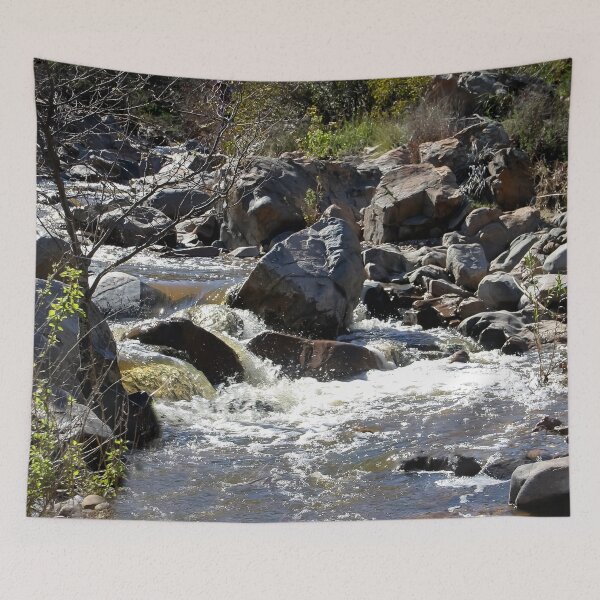 Item preview, Mission Trails 2  designed and sold by heatherfriedman.