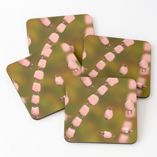 Item preview, COOL COCCIDIODES FUNGUS MICROSCOPE PHOTO IMAGE...Micro designed and sold by Hippiesole.