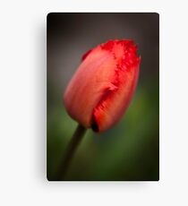 Jagged Canvas Print