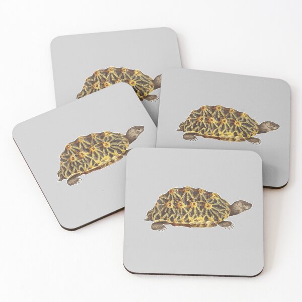 Item preview, Tortoise Drawing  designed and sold by darwinsworld.
