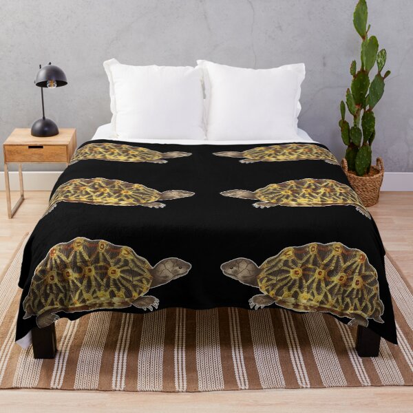 Item preview, Tortoise Drawing designed and sold by darwinsworld.