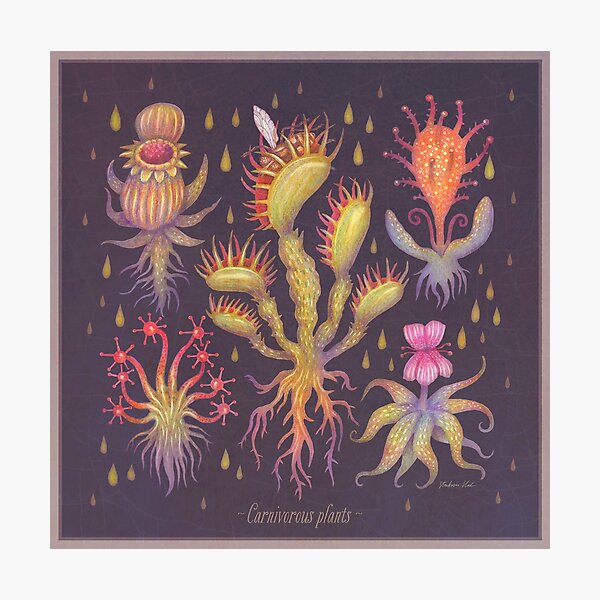 Item preview, Carnivorous plants (version II) designed and sold by Cabinet Of Curiosities by Vlad.