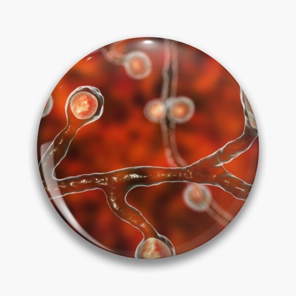 Item preview, FUNGI DERM BLASTOMYCES MICROSCOPIC FUNGUS PHOTO IMAGE...Micro designed and sold by Hippiesole.