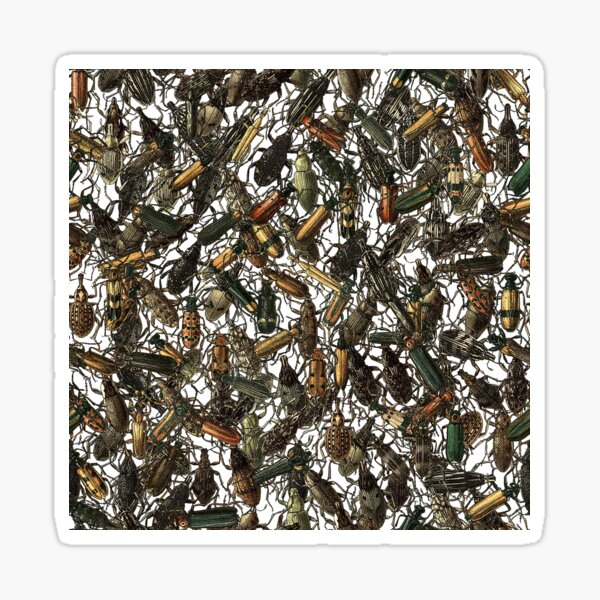 Item preview,  The Teeming Hoards of Beetles designed and sold by Salocin.
