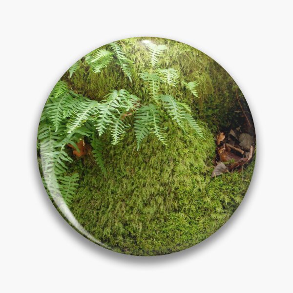 Item preview, Ferns & Moss designed and sold by Elaine Bawden.