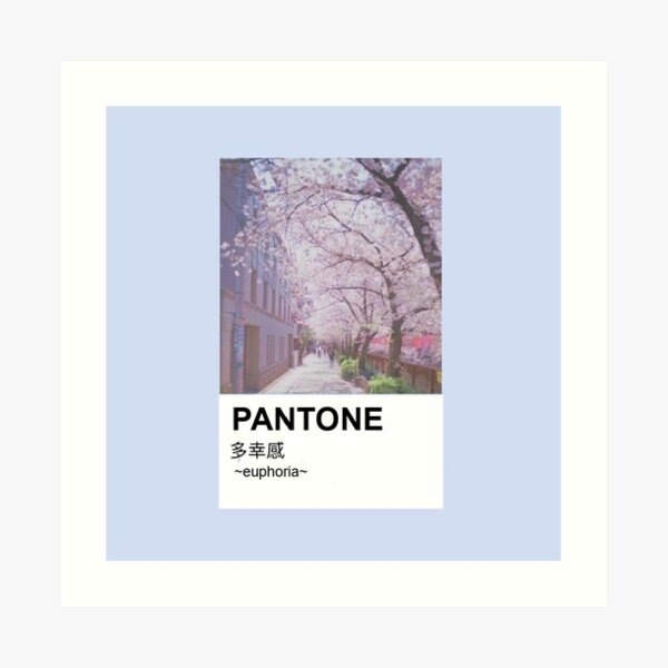 PANTONE aesthetic Japanese cherry blossoms Art Print