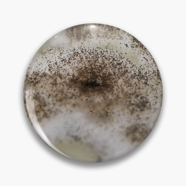 Item preview, MOLD (ASPERGILLUS) UNDER STEREO MICROSCOPE IMAGE PHOTO...Micro designed and sold by Hippiesole.