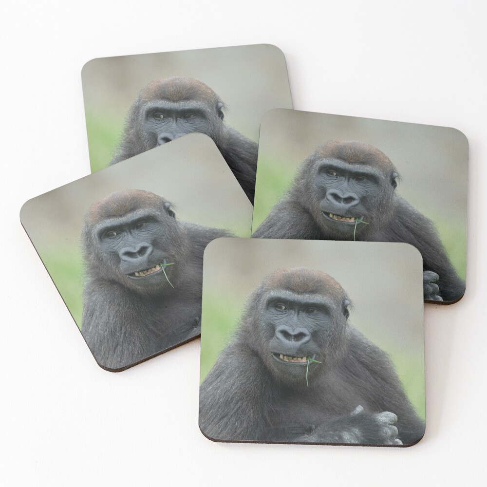Item preview, Coasters (Set of 4) designed and sold by rawshutterbug.