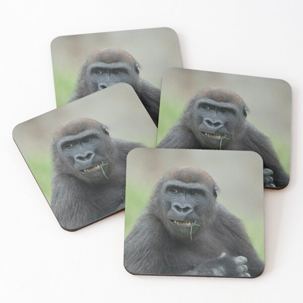 Item preview, Lovable Gorilla Rascal Lope designed and sold by rawshutterbug.