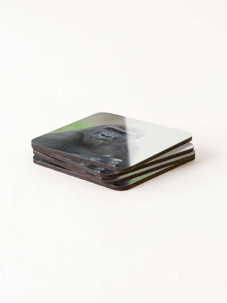 Thumbnail 4 of 5, Coasters (Set of 4), Lovable Gorilla Rascal Lope designed and sold by rawshutterbug.